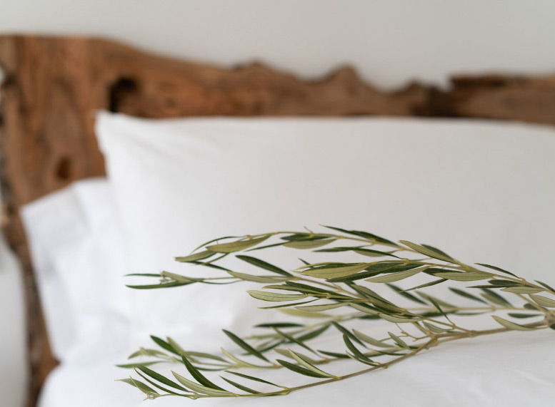 Exclusive Garden Suite