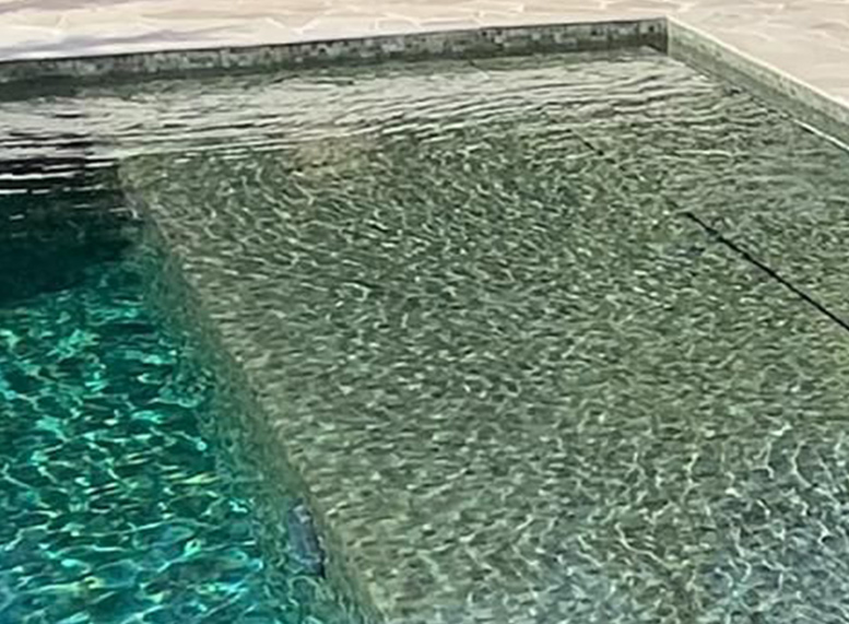 Habitación deluxe pool