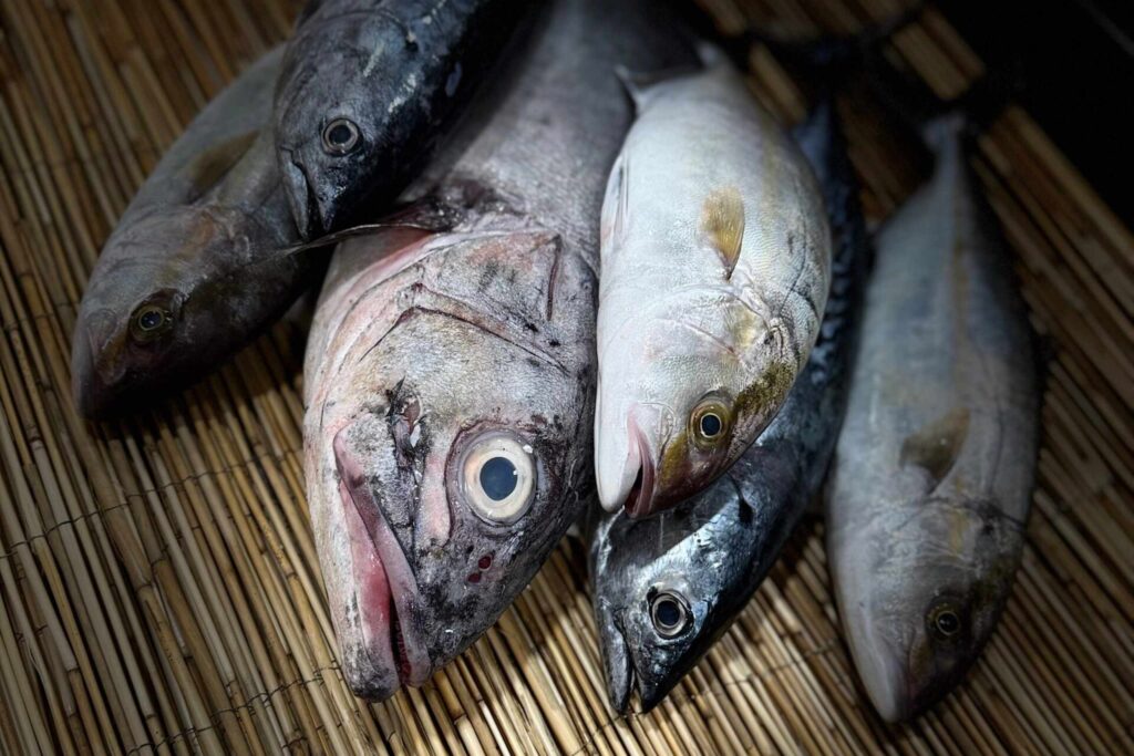 Identidad local mialmazara