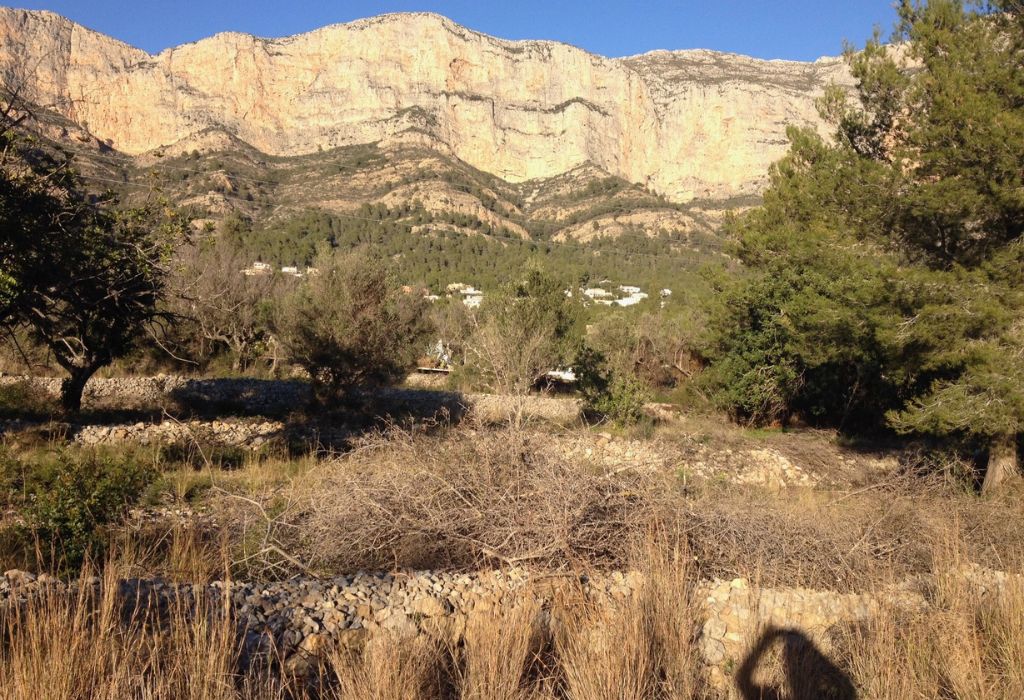 sobre-nosotros-mialmazara