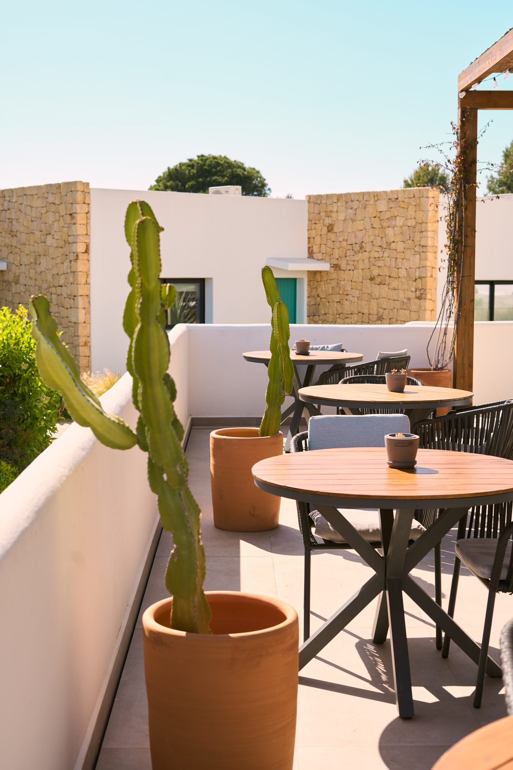 HOTEL Y RESTAURANTE 204